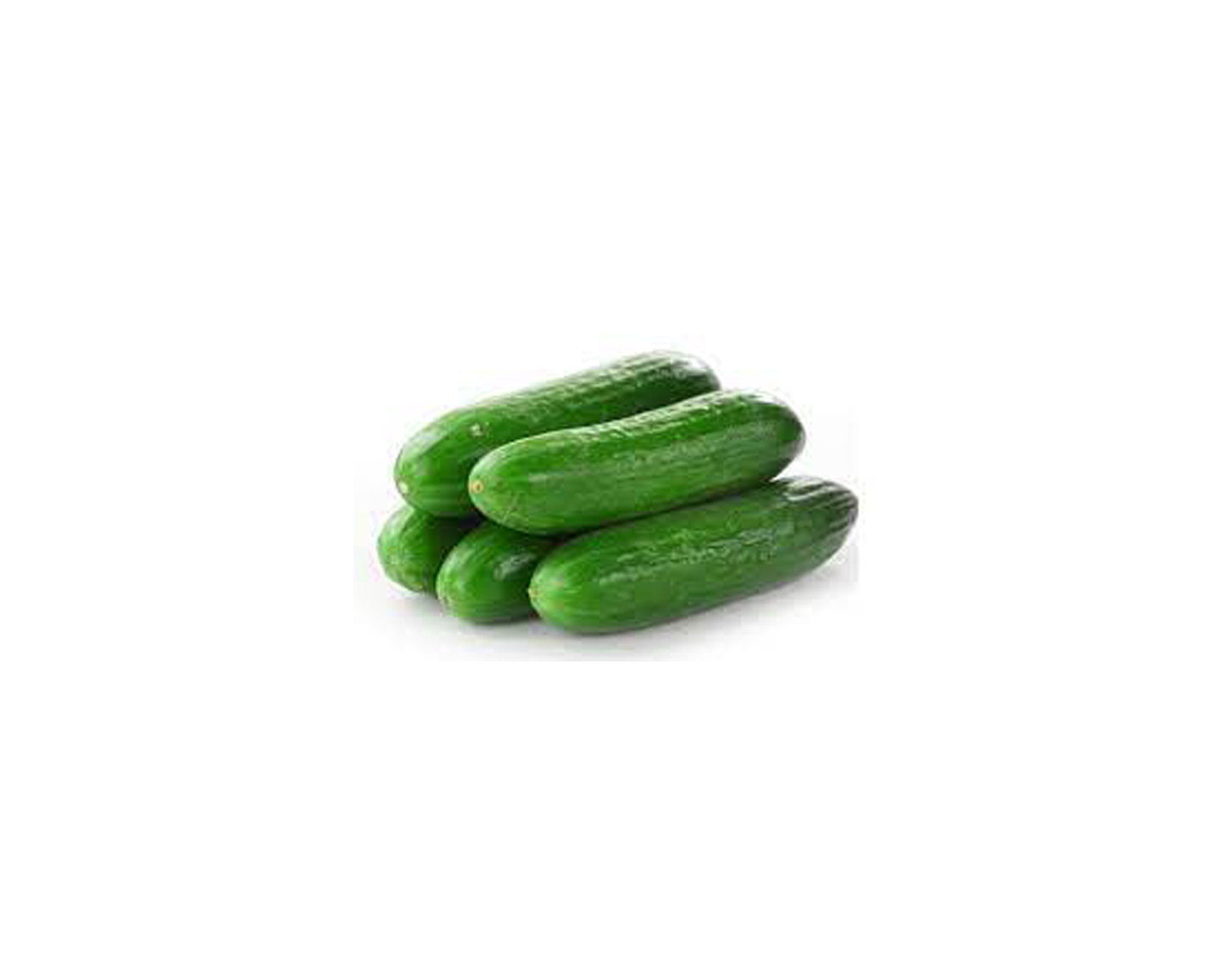 Lebanese Cucumber